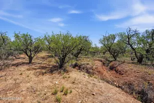 16315 W Ili Teka Rd, Arivaca, AZ 85601 - Photo 5
