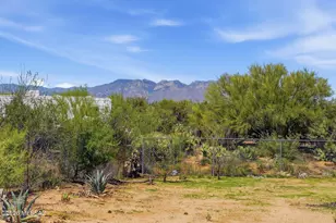 12832 S Rustic Desert Ln, Tucson, AZ 85736 - Photo 33
