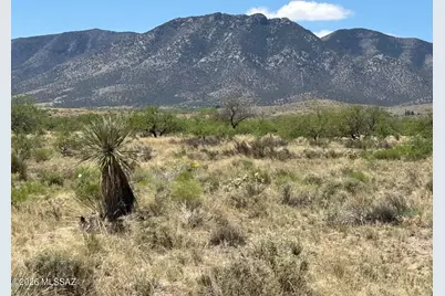 Single Lot Zinnia Street #5, Pearce, AZ 85625 - Photo 3