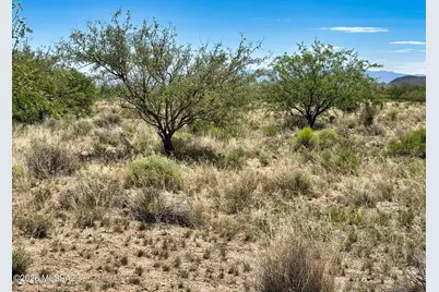 Single Lot Zinnia Street #5, Pearce, AZ 85625 - Photo 11
