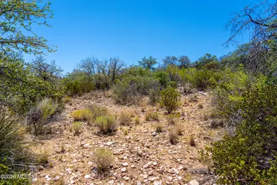 Tbd W Oak Hills Drive, Oracle, AZ 85623 - Photo 13