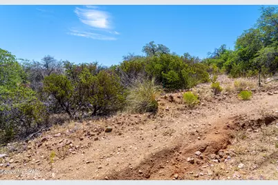 Tbd W Oak Hills Drive, Oracle, AZ 85623 - Photo 9
