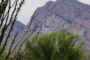 10480 N Fair Mountain Dr, Tucson, AZ 85737 - Photo 43