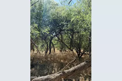 440 W Cimmaron Lane, Benson, AZ 85602 - Photo 35