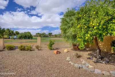 11321 N Palmetto Dunes Avenue, Oro Valley, AZ 85737 - Photo 39