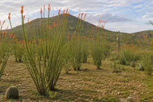 15791 E Hillton Ranch Rd, Vail, AZ 85641 - Photo 41
