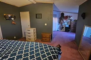 10194 N Mormon Rd, Elfrida, AZ 85610 - Photo 25