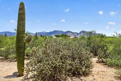11546 N Mountain Breeze Drive, Oro Valley, AZ 85737 - Photo 37