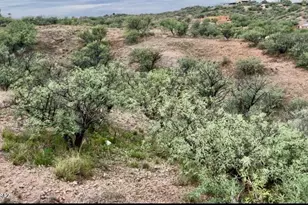 1010 Paseo Lobo Rio, Rio Rico, AZ 85648 - Photo 17