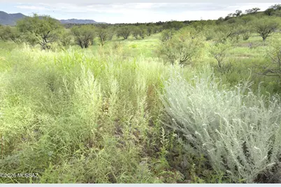 601 Dropseed Court #32, Patagonia, AZ 85624 - Photo 27