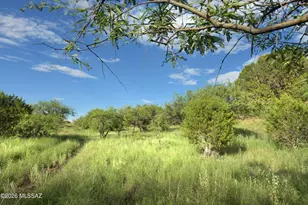 601 Dropseed Ct, Patagonia, AZ 85624 - Photo 1