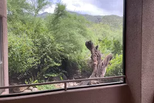 6655 N Canyon Crest Dr, Tucson, AZ 85750 - Photo 31