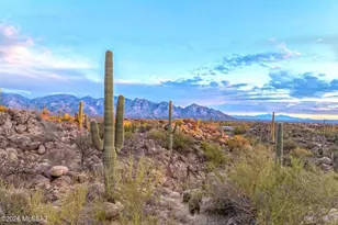 1178 W Tortolita Mountain Circle, Oro Valley, AZ 85755 - Photo 17