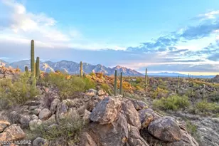 1178 W Tortolita Mountain Circle, Oro Valley, AZ 85755 - Photo 9
