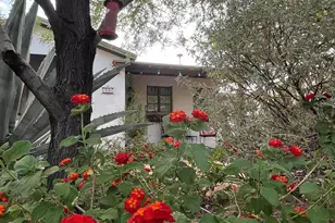 736 S Herbert Ave, Tucson, AZ 85701 - Photo 1