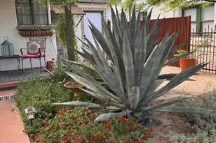 736 S Herbert Ave, Tucson, AZ 85701 - Photo 33