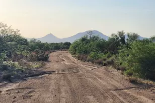 16154 W Prosperi Ave, Tucson, AZ 85736 - Photo 1