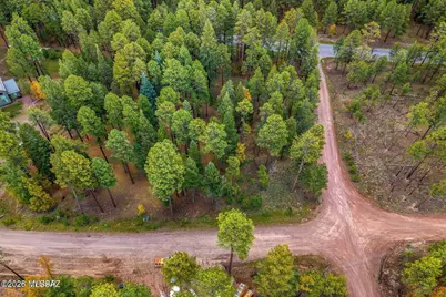 000 County Road 2196, Alpine, AZ 85920 - Photo 15