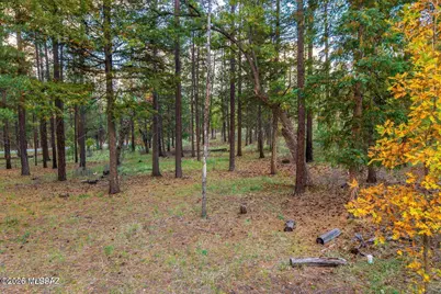 000 County Road 2196, Alpine, AZ 85920 - Photo 17