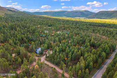 000 County Road 2196, Alpine, AZ 85920 - Photo 5