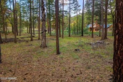 000 County Road 2196, Alpine, AZ 85920 - Photo 13