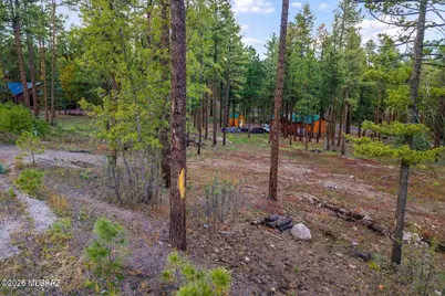 7 Eric Lane #28, Alpine, AZ 85920 - Photo 5