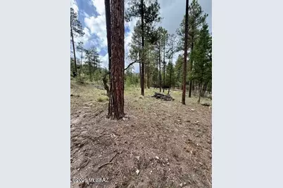 7 Eric Lane #28, Alpine, AZ 85920 - Photo 3