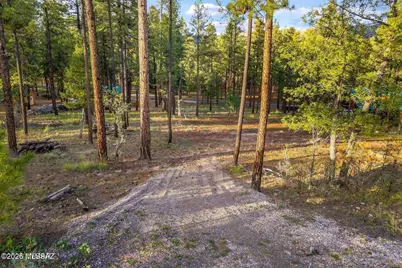 7 Eric Lane #28, Alpine, AZ 85920 - Photo 9