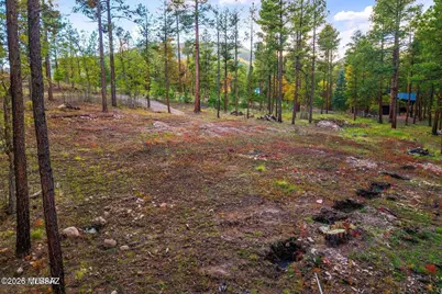 7 Eric Lane #28, Alpine, AZ 85920 - Photo 7