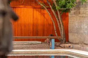 9032 E Rosewood St, Tucson, AZ 85710 - Photo 33