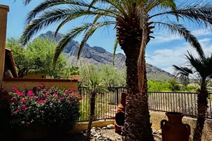 1216 E Camino Diestro, Oro Valley, AZ 85704 - Photo 37