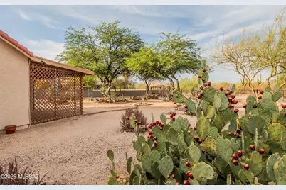 4617 W Lessing Lane, Tucson, AZ 85742 - Photo 43