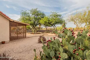 4617 W Lessing Ln, Tucson, AZ 85742 - Photo 43