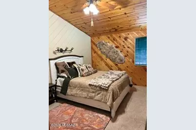 3 Cr N2148, Alpine, AZ 85920 - Photo 13