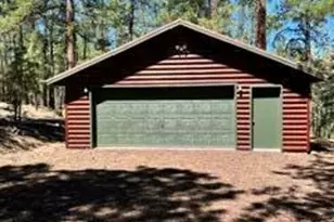 3 Cr N2148, Alpine, AZ 85920 - Photo 7