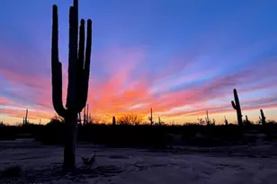 218-44-027 N Sandra, Marana, AZ 85658 - Photo 1