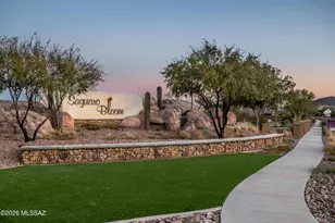 9148 W Blue Saguaro St, Marana, AZ 85653 - Photo 33