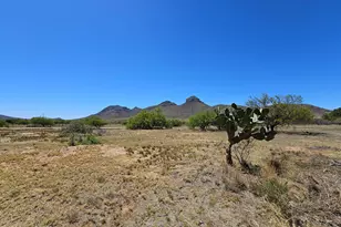 4290 Hwy 82, Elgin, AZ 85611 - Photo 39