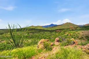 1163 Morning Star Dr, Rio Rico, AZ 85648 - Photo 49