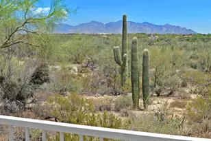 12866 N High Hawk Dr, Marana, AZ 85658 - Photo 13
