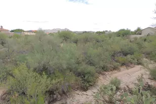 12981 N Woodburne Ave, Oro Valley, AZ 85755 - Photo 39