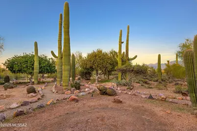 2614 N Grannen Road, Tucson, AZ 85745 - Photo 35