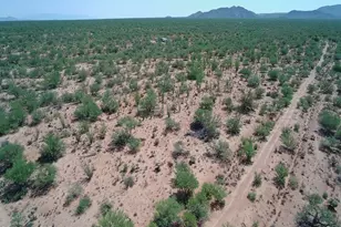 16408 W Stoval Ave, Tucson, AZ 85736 - Photo 1