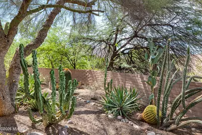 1781 W Placita De Vanegas, Tucson, AZ 85704 - Photo 23