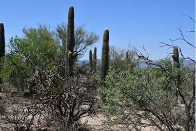 3750+- W Pecos Way, Tucson, AZ 85742 - Photo 11