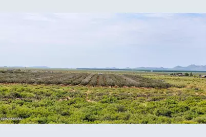 0 E Phillips Rd 40 Acres #-, Willcox, AZ 85643 - Photo 5