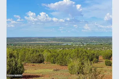 8087 Mustang Ln 20 Acres, Show Low, AZ 85901 - Photo 15