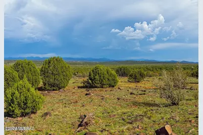 8087 Mustang Ln 20 Acres, Show Low, AZ 85901 - Photo 13