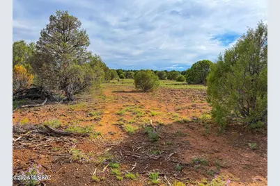 8087 Mustang Ln 20 Acres, Show Low, AZ 85901 - Photo 9