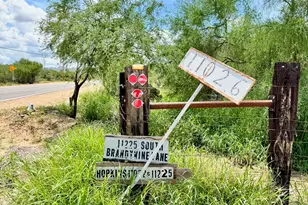 11075 S Brandywine Ln, Tucson, AZ 85736 - Photo 5